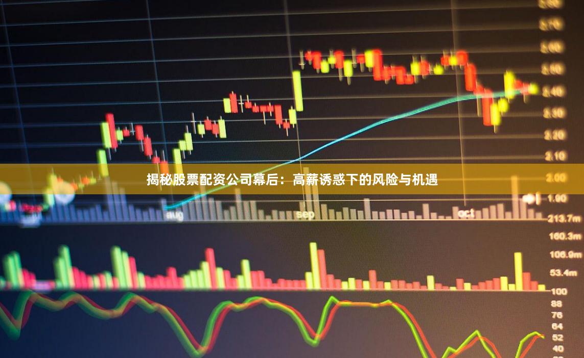 揭秘股票配资公司幕后：高薪诱惑下的风险与机遇